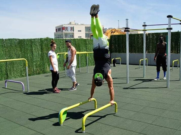 7424 3 7424 Parallel bars 350 mm