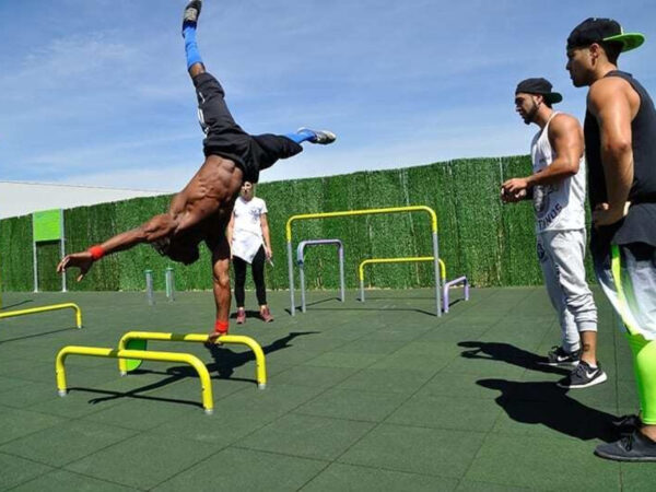 7424 8 7424 Parallel bars 350 mm