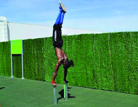7440 Handstand pole