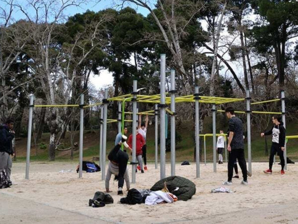 7481 5 7481 Set STREET WORKOUT 12 posts