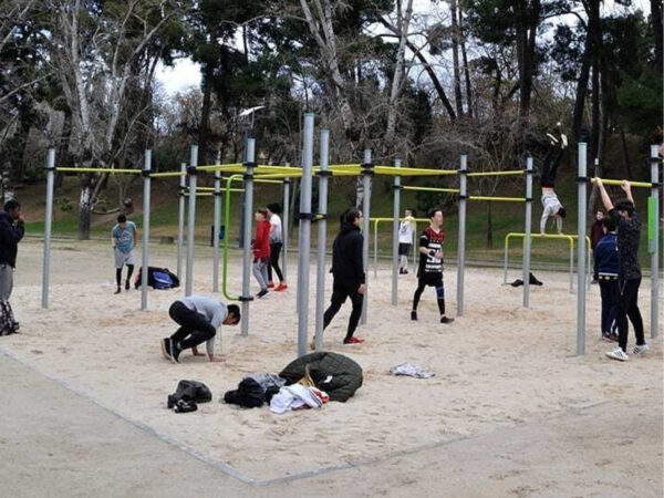 Calisthenics fotogallery