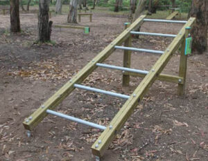 7045 Leunende Ladder