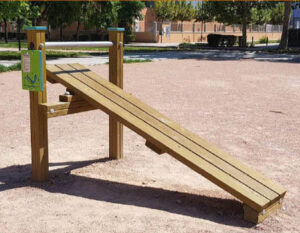 7070 Sit Up Bank