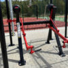 R06 Arm Biceps machine