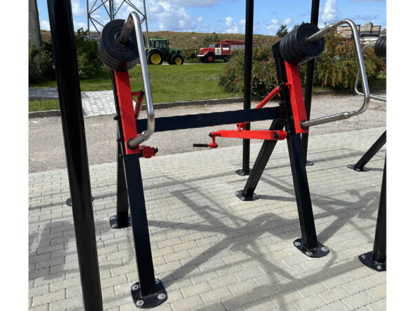 R06 Arm Biceps machine