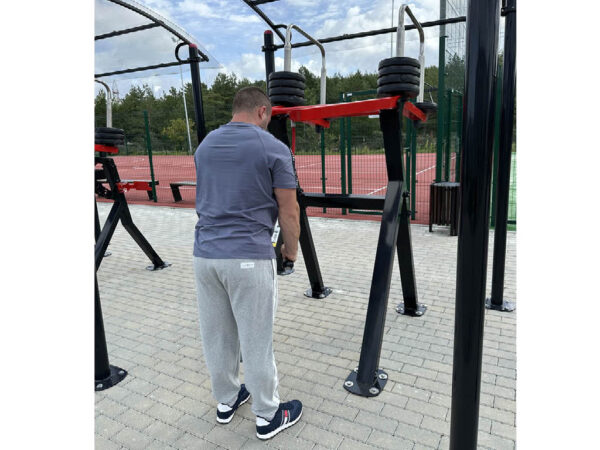 R15 Arm Triceps low machine
