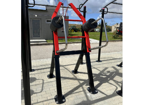 R15 Arm Triceps low machine