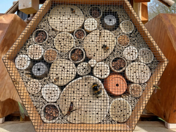 B41 Insectenhotel